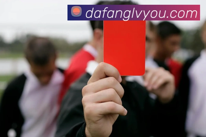 大发彩票服务体系